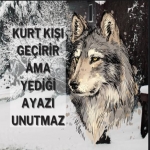 Spor Toto Hedef15
